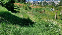 Terreno Urbano com 500m² em Getúlio Vargas/RS