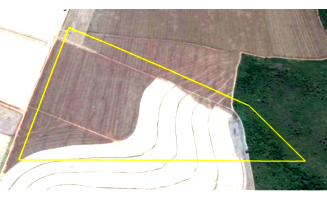 Sítio com 85,89 hectares em Nova Ubiratã/MT