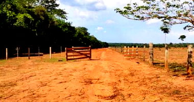 Imóvel Rural com 53 hectares em Porto dos Gaúchos/MT