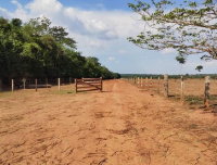 Imóvel Rural com 53 hectares em Porto dos Gaúchos/MT