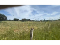 Chácara com 5.000m², sem edificação, cercada com arame