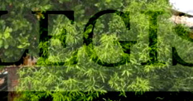 Imóvel Residencial com Área Total de 345m²