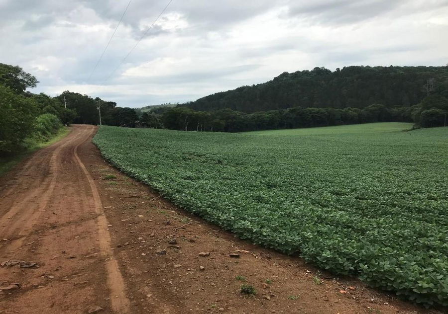 Terreno Rural com 48.400 m² em Francisco Beltrão - Oportunidade!