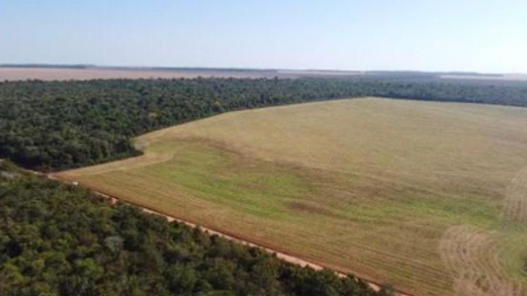 Imóvel Rural com 74,0462 HA em Vilhena/RO