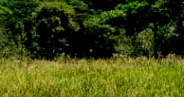 Terreno de 4.512,77 m² em Catanduva/SP
