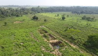 Imóvel Rural com 9,32ha em Cotriguaçu-MT