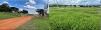 Sítio Rural com Casa em Birigui - SP