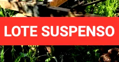 Grade Niveladora, Disco de Corte e Perfurador de Solo