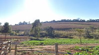 Gleba de Terras 38.450m² em Caldas/MG - Excelente Oportunidade Rural