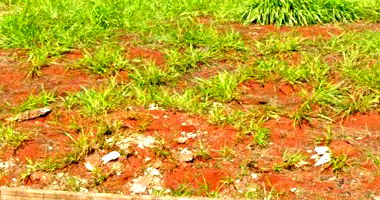 Terreno com 250m² no Golden Park II em Londrina/PR