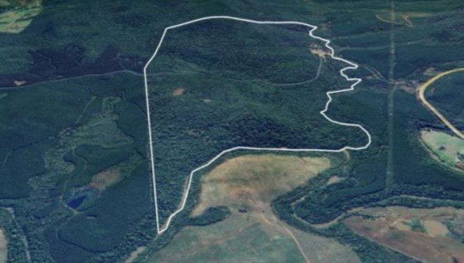 Área Rural de 200 ha em Herciliópolis - Oportunidade Única!