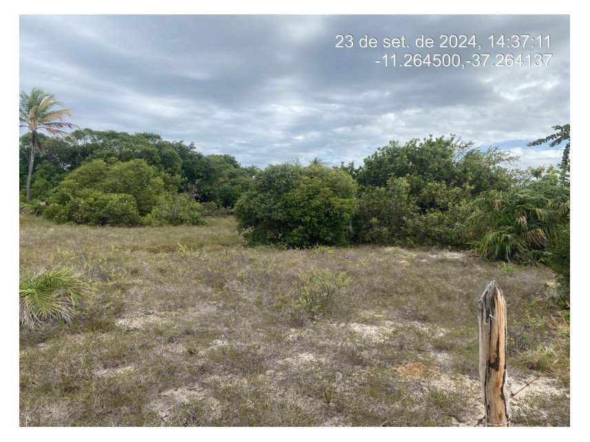 Terreno de 325 m² em leilão