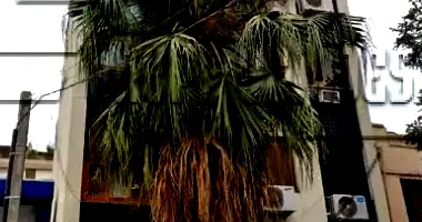 Estacionamento Coberto com 10,70m² no Edifício Residencial Mallawi