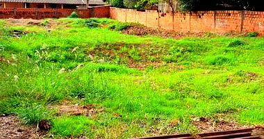 Terreno com 559,71m² em Cianorte/PR - Oportunidade Única