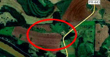 Área Rural de 6,65 ha em Jataizinho/PR