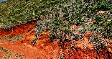 Casa com 3 quartos e lote com 66m², área construída 33m²