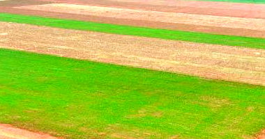 Lote rural de 30 hectares com potencial de valorização