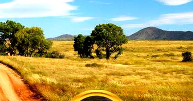 Propriedade Rural com 30 Tarefas Nordestinas