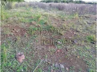 Terreno Rural 7,59 ha em São Nicolau/RS - Oportunidade Única