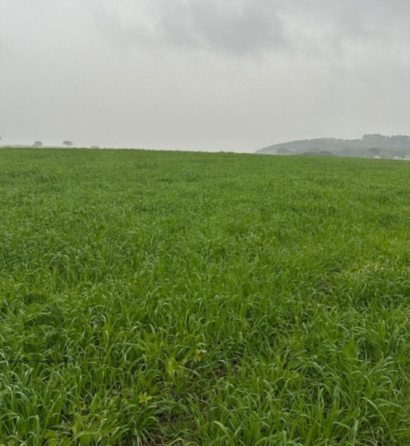 Terreno Rural amplo com 96.800m², sem benfeitorias