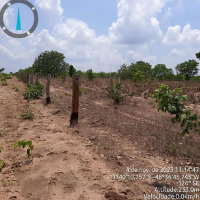 Fazenda Rural com 1.522,33 HA em Paranã - TO
