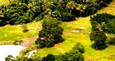 Parte ideal de 30% de gleba rural em Jussara/GO