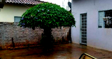 Casa com 128m² construídos e 250m² de terreno