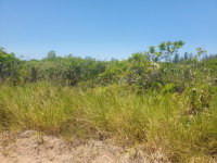 Terreno urbano de 600m² em Morro dos Conventos