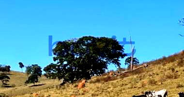 Área Rural de 6 Alqueires Ideal para Agropecuária e Investimento