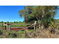 Sítio rural com 13,10 hectares em Campina da Lagoa/PR