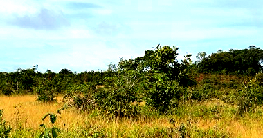 Terreno em Floresta do Araguaia - PA