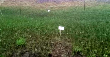 Terrenos Ocupados em Vila Rica do Abais - Itaporanga D'Ajuda/SE