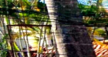 Casa Ocupada com 739m² de Área Construída no Anil, Rio de Janeiro