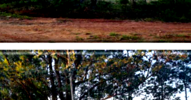 Terreno 960m² em Eldorado do Sul/RS - Lote Rural