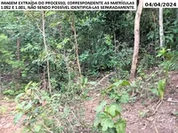 Sítio com 51,77 hectares em Minaçu/GO