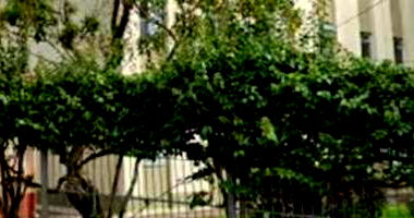 Apartamento Ocupado com 1 Vaga em São Paulo/SP