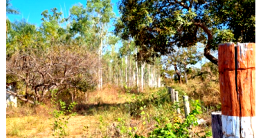 Terreno com 56,97 hectares com benfeitorias e casa para caseiro