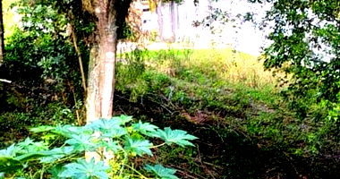 Terreno Residencial 403m² Desocupado em Porto Alegre/RS