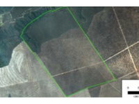 Área Rural de 774,50ha ocupada em Nova Brasilândia