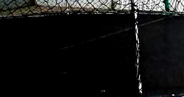 Lote de Cama Elástica, Expositor e Cadeiras de Plástico