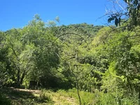 Fração ideal de terras rurais com 118.000m²