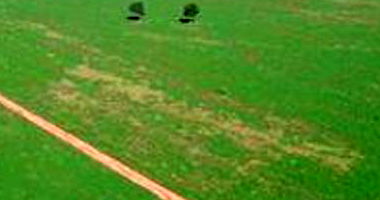 Fazenda Maracanã com 159ha em Sidrolândia/MS