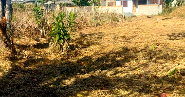 Terreno em Pontal do Paraná com 525m²