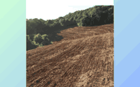 Área Rural 60.500m² — Investimento Estratégico no Sudoeste do PR