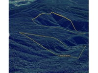 Área Rural de 25,03ha, ocupada, ideal para investimento