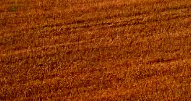 Lote Rural com 6,050 ha em Maringá-PR