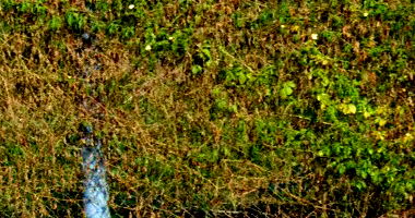 Terreno com 525m² no Parque Residencial Alcântara em Londrina/PR