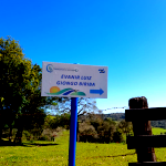 Dois Terrenos Rurais em Campos Novos - 190,96 hectares e 54,45 hectares