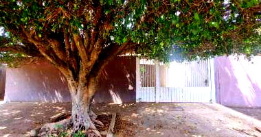 Casa ocupada com 3 quartos, 2 banheiros e 1 vaga de garagem