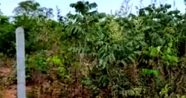 Terreno de 1.688,30m² no Condomínio Portal do Xaraés